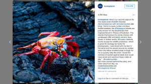 Lonely Planet Instatakeover with @insidetravellab